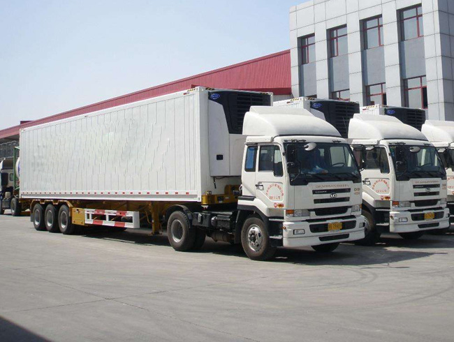 ��������ר������